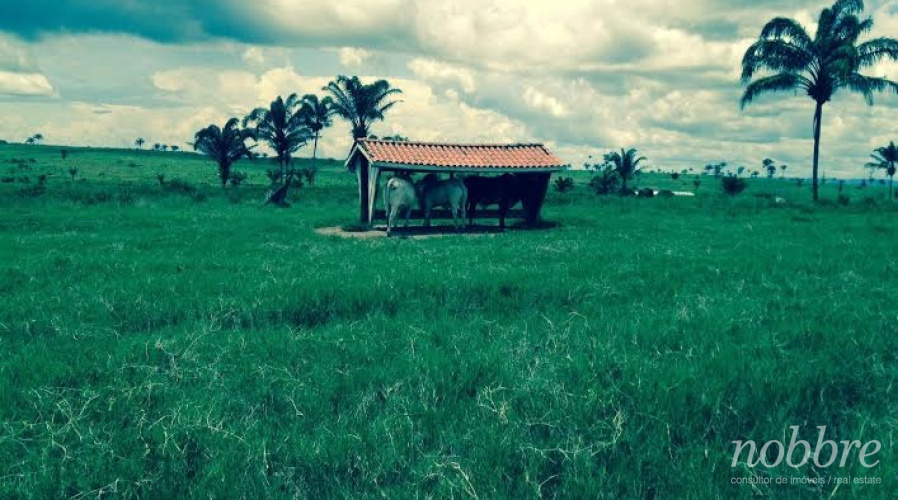 Fazenda para vender Cumarú do Norte, Pará.